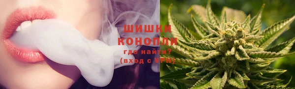 мет Бородино