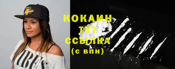 мет Бородино